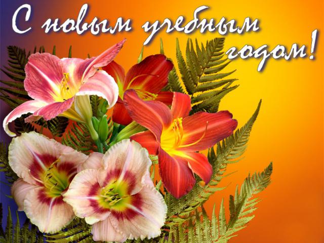 med gallery 7164 754 35849