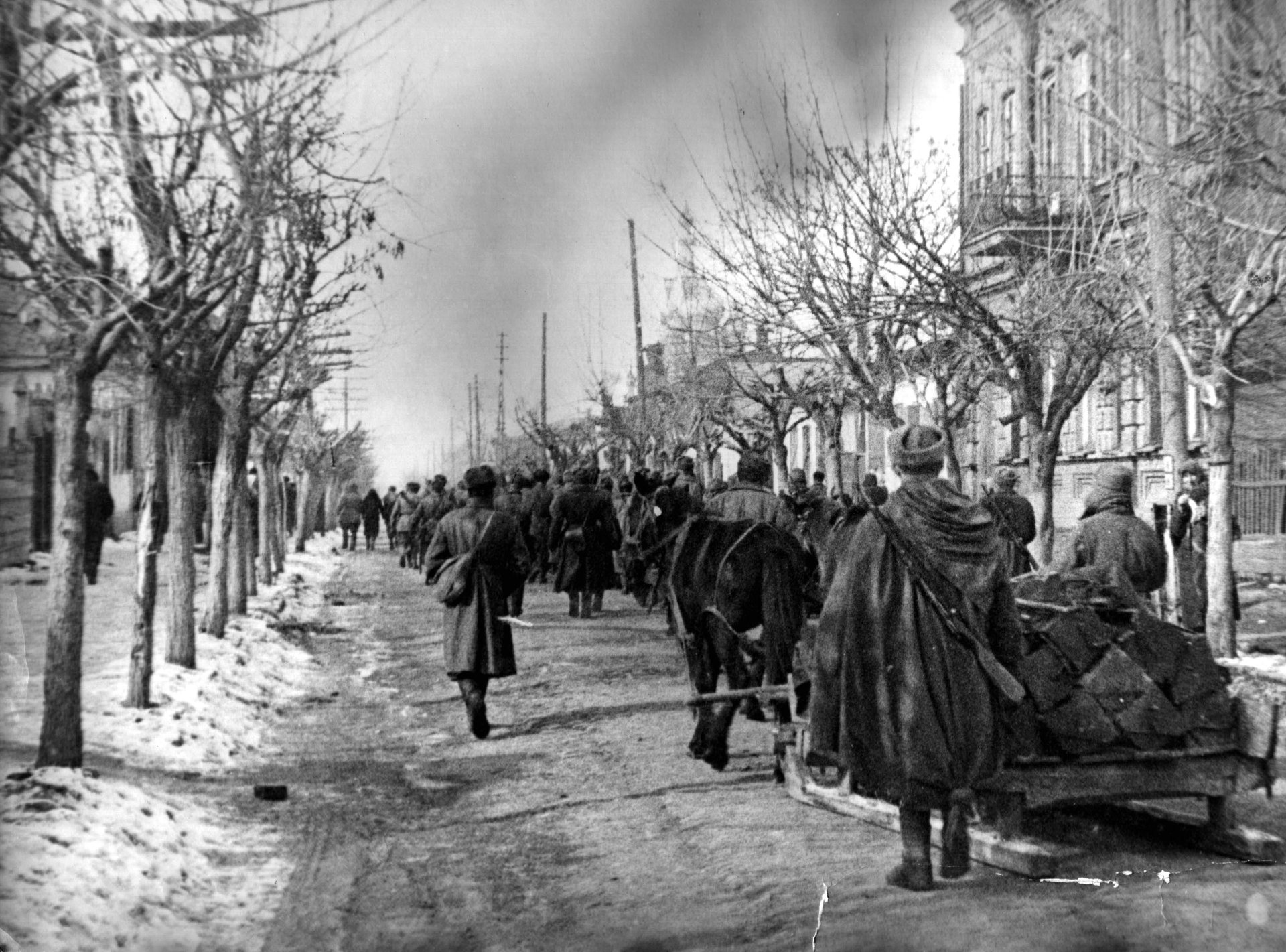krasnodar fevral 1943 g. 1